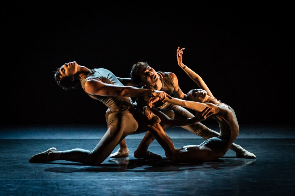 Singapore Ballet’s 2025 Season: A Dazzling Lineup of Classics, Contemporary Works, and Family Favourites - Alvinology