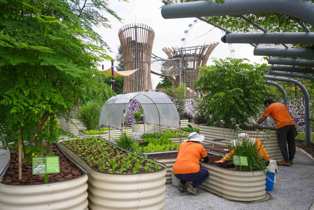 Singapore’s First Family-Themed Destination Playground Opens at Gardens by the Bay’s New PropNex Family Zone Singapore’s First Family-Themed Destination Playground Opens at Gardens by the Bay’s New PropNex Family Zone - Alvinology