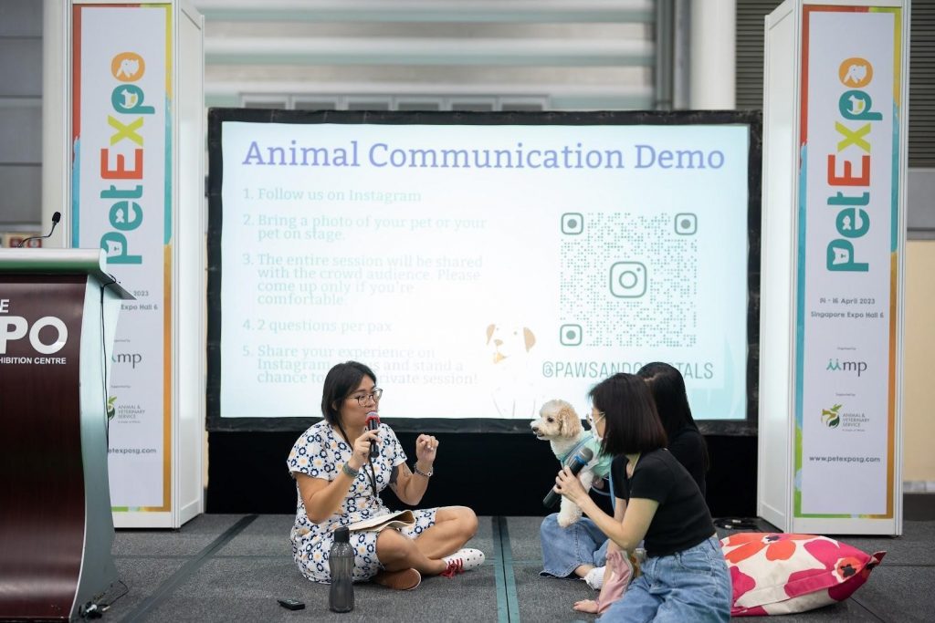 Singapore’s Biggest Pet Fair Returns: PetExpo 2025 Unleashes More Fun, Fur, and Festivities - Alvinology