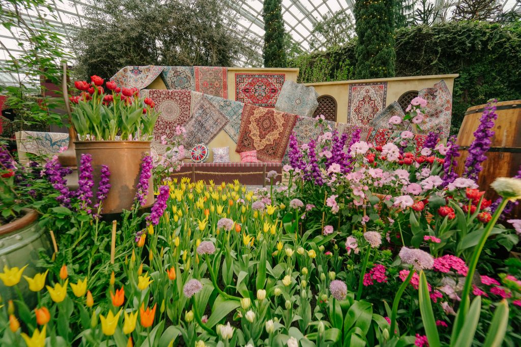 Tulipmania 2025 Blooms with 65,000 Tulips and Timeless Wonders of Türkiye at Gardens by the Bay - Alvinology