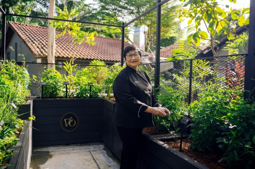 Violet Oon Singapore at Dempsey Opens: A Grand Celebration of Peranakan Heritage and Culinary Artistry - Alvinology