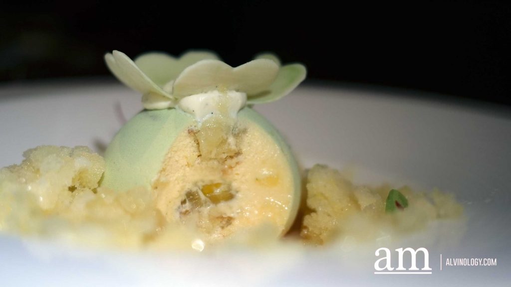 [Review] Nobu Singapore’s Seasonal Spring Omakase Delivers Japanese-Peruvian Elegance - Alvinology