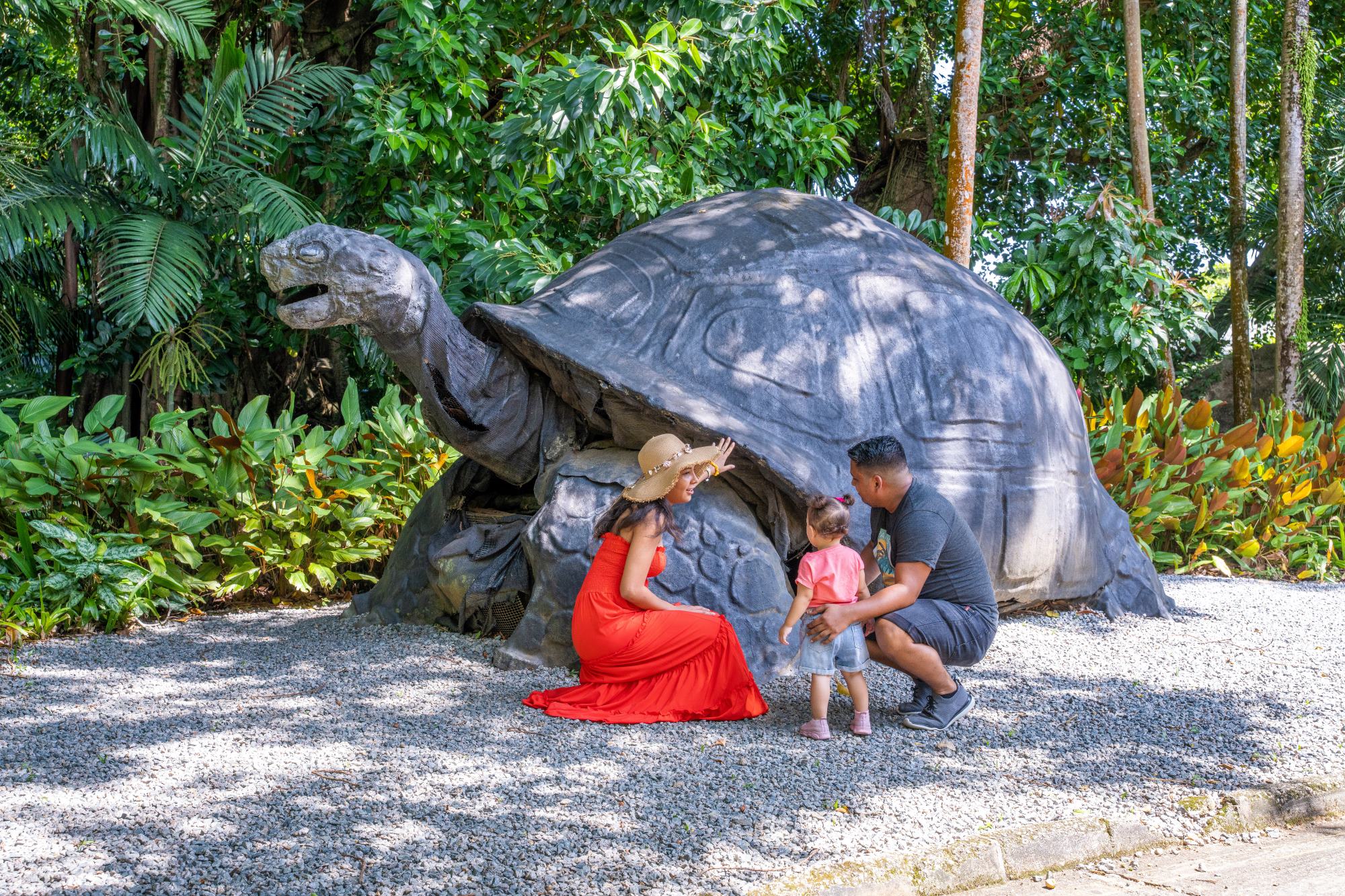 Tourism Seychelles Shares Ideas for Singapore’s June Holidays — Visit Majestic Morne Blanc Trail and many other attractions Botanical Garden
