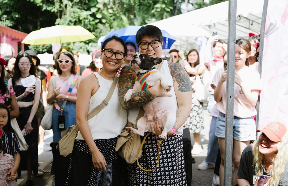 Pink Fest 2025 Returns: Bigger, Bolder, and More Inclusive Than Ever Pink Fest 2025 Returns: Bigger, Bolder, and More Inclusive Than Ever - Alvinology