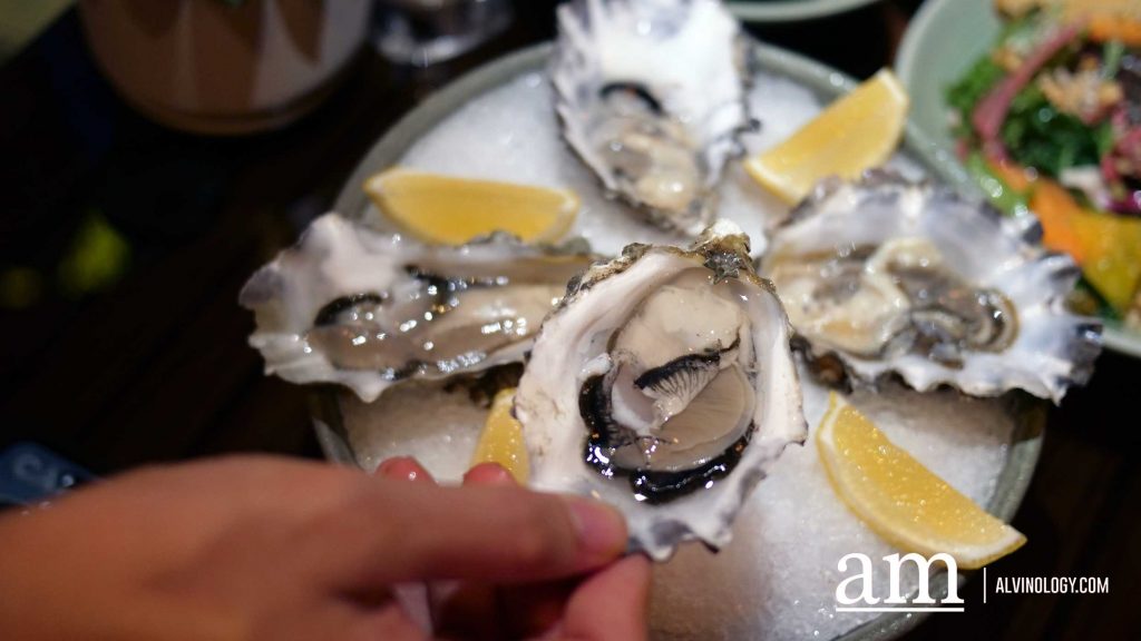 [Review] BBQ Nights at Oasis @ Grand Hyatt Singapore: A Sizzling Poolside Feast Paired with Free-Flow Drinks - Alvinology