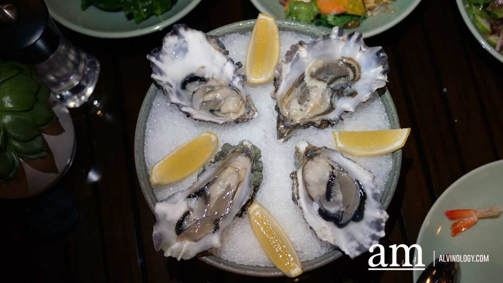 [Review] BBQ Nights at Oasis @ Grand Hyatt Singapore: A Sizzling Poolside Feast Paired with Free-Flow Drinks - Alvinology