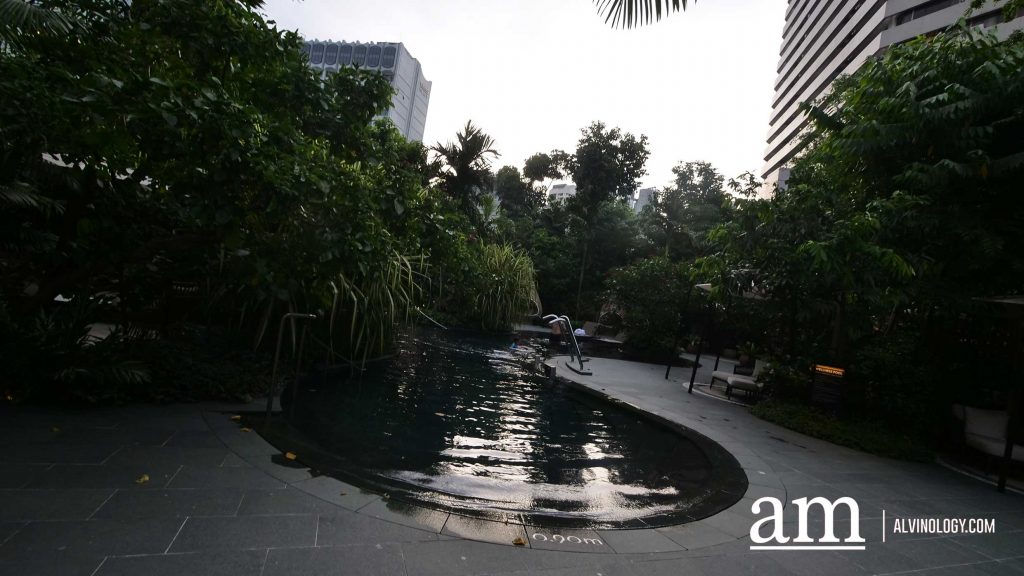 [Review] BBQ Nights at Oasis @ Grand Hyatt Singapore: A Sizzling Poolside Feast Paired with Free-Flow Drinks - Alvinology