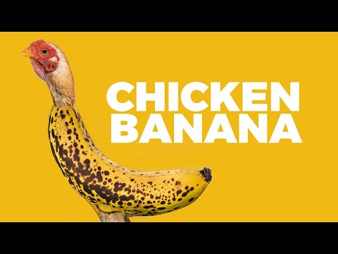 The Whole World is Dancing to "Chicken Banana" - Alvinology
