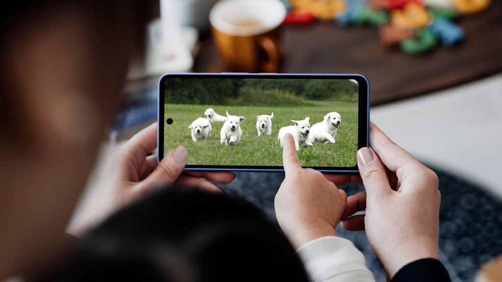 SHARP Launches AQUOS wish5 in Singapore: A Safety-First, Eco-Friendly Smartphone with Vibration-Activated SOS and Sleek 120Hz Display - Alvinology