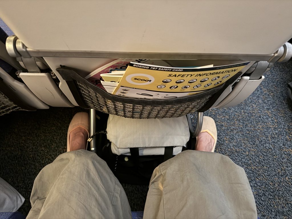 [REVIEW] Scoot Economy vs ScootPlus: My 12-Hour Budget Flights from Singapore to Vienna and Back! - Alvinology