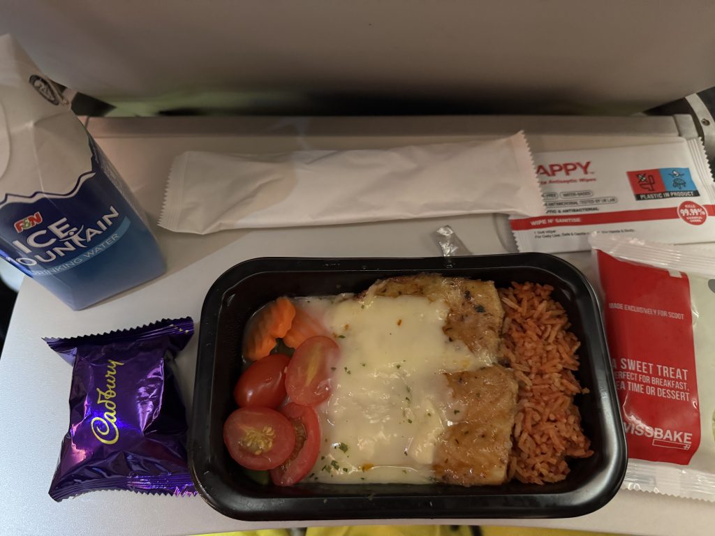 [REVIEW] Scoot Economy vs ScootPlus: My 12-Hour Budget Flights from Singapore to Vienna and Back! - Alvinology