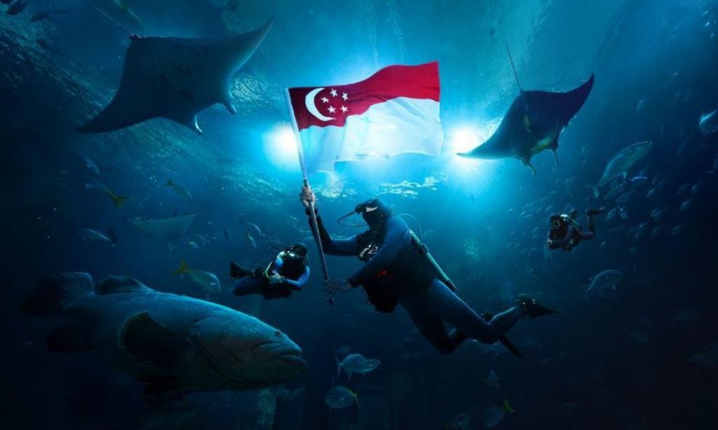 Singapore Oceanarium to Open on 24 July 2025 with Immersive Marine Experiences and Opening Celebrations - Alvinology