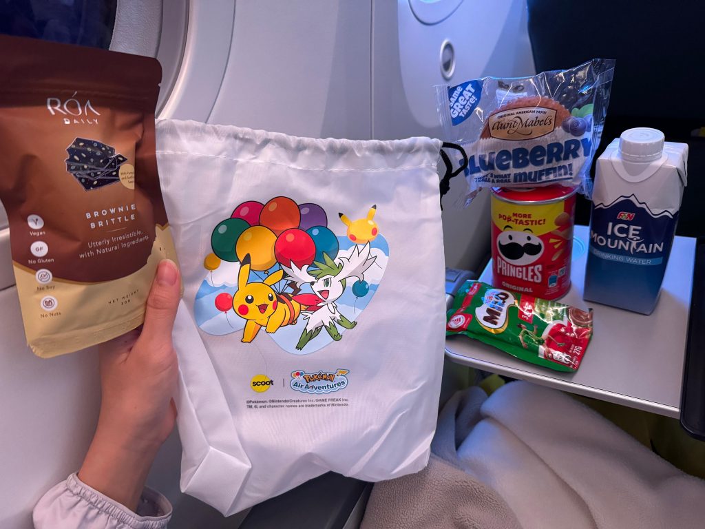 [REVIEW] Scoot Economy vs ScootPlus: My 12-Hour Budget Flights from Singapore to Vienna and Back! - Alvinology