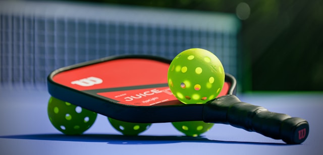 Pickleball Craze: Why This Sport Is Perfect for Summer Fun - Alvinology