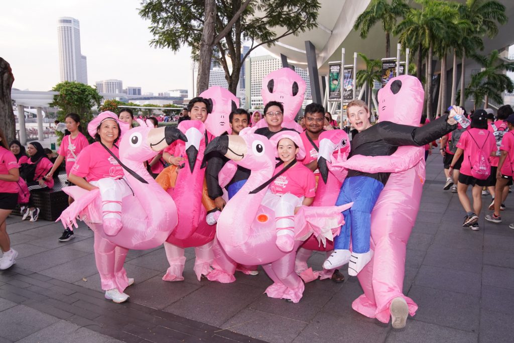 Pink Ribbon Walk 2025 Returns This October: Dress in Pink, Walk with Heart, Make a Difference Pink Ribbon Walk 2025 Returns This October: Dress in Pink, Walk with Heart, Make a Difference - Alvinology