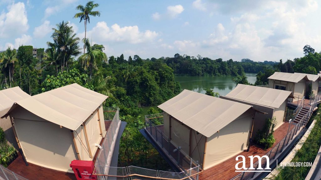 From Zoo to Zzz: New Colugo Camp Lets You Stay Overnight at Mandai Wildlife Reserve - Alvinology