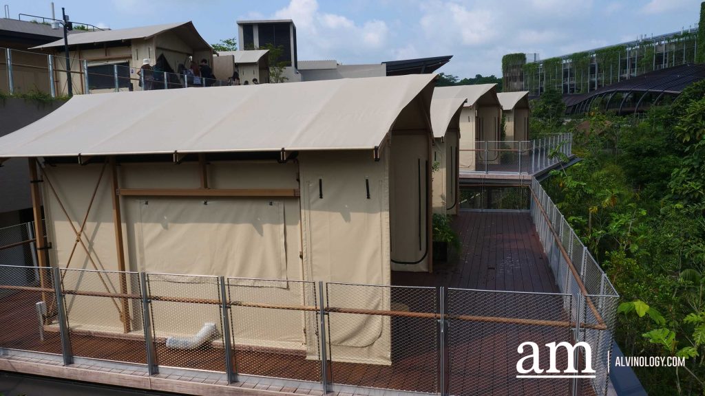 From Zoo to Zzz: New Colugo Camp Lets You Stay Overnight at Mandai Wildlife Reserve - Alvinology
