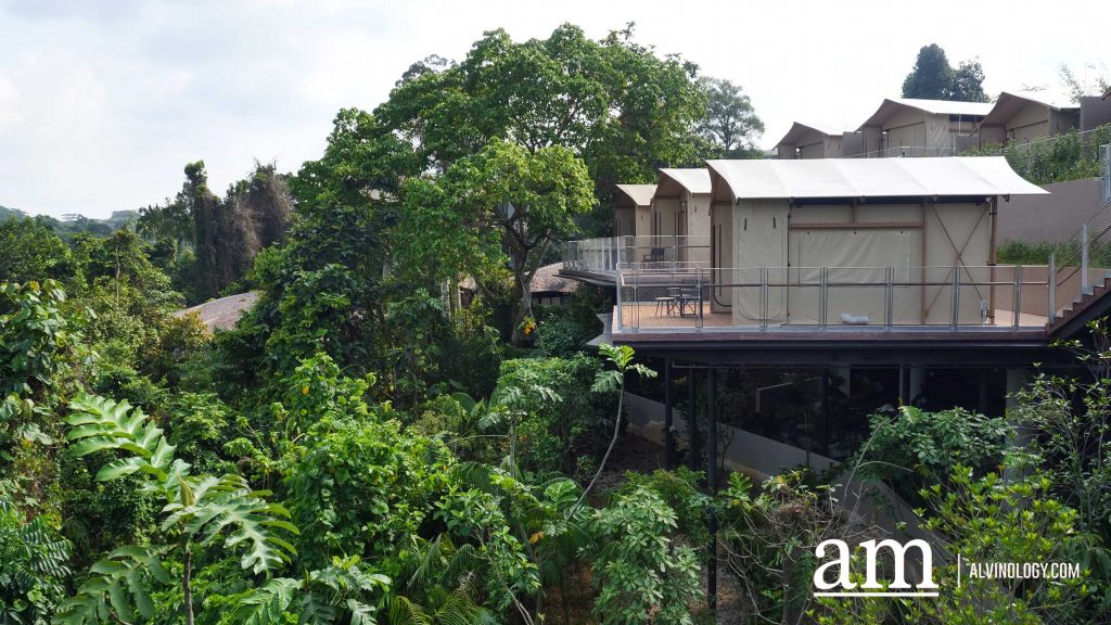 From Zoo to Zzz: New Colugo Camp Lets You Stay Overnight at Mandai Wildlife Reserve - Alvinology