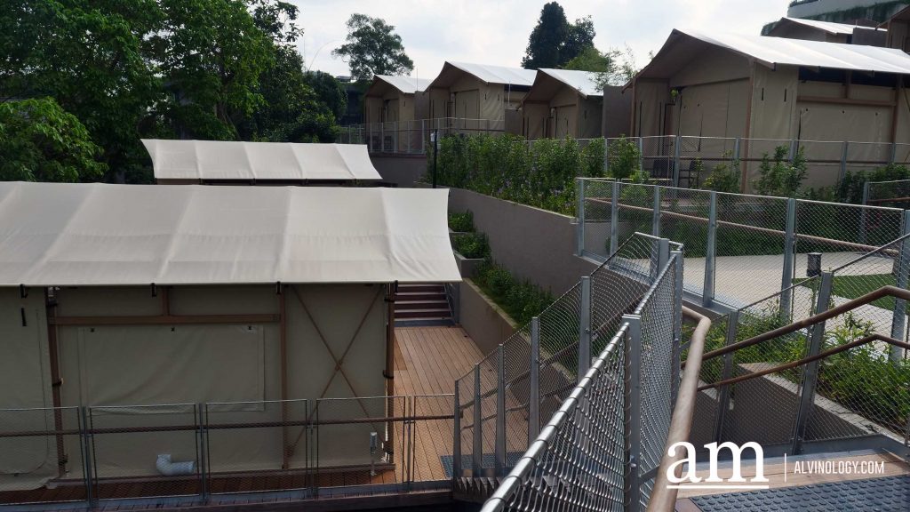 From Zoo to Zzz: New Colugo Camp Lets You Stay Overnight at Mandai Wildlife Reserve - Alvinology