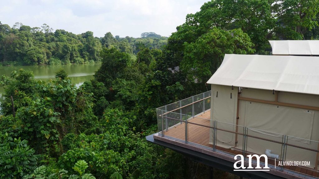 From Zoo to Zzz: New Colugo Camp Lets You Stay Overnight at Mandai Wildlife Reserve - Alvinology