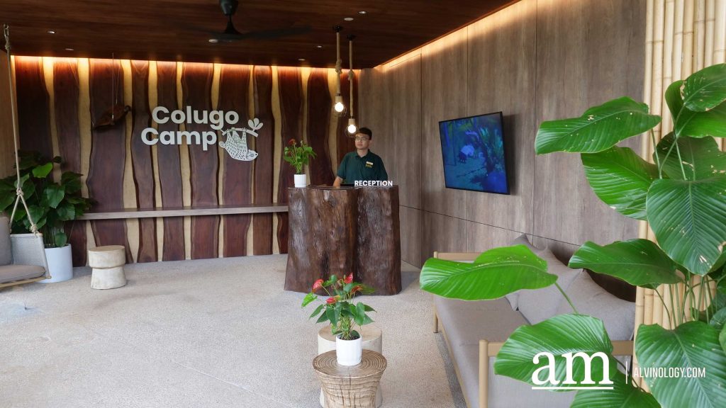 From Zoo to Zzz: New Colugo Camp Lets You Stay Overnight at Mandai Wildlife Reserve - Alvinology