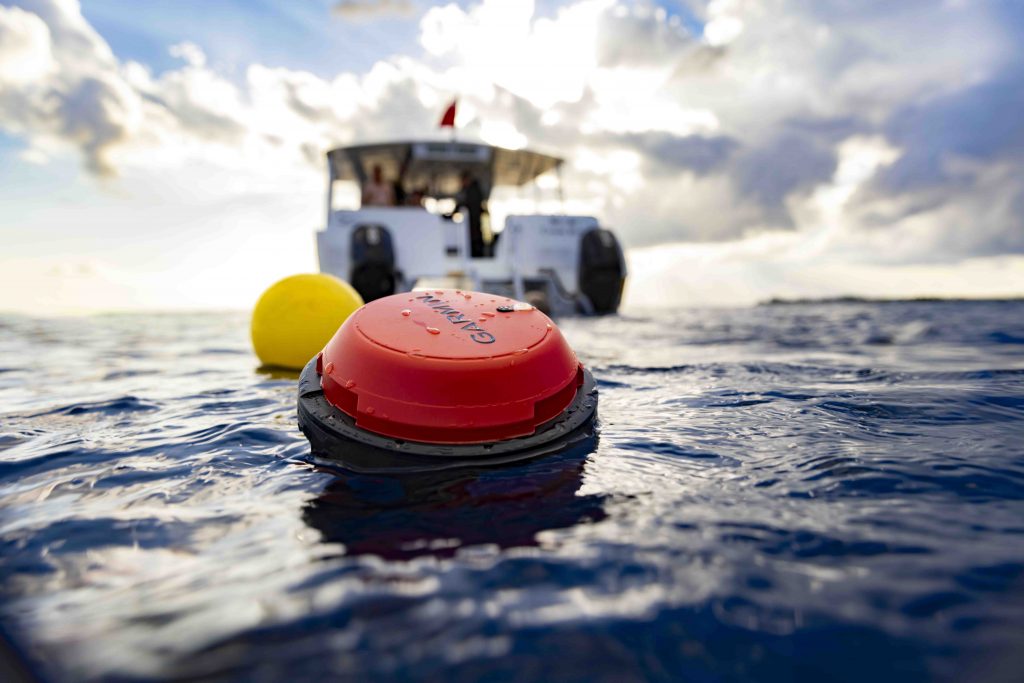 Garmin Descent S1 Smart Buoy to Revolutionize Dive Safety and Communication - Alvinology