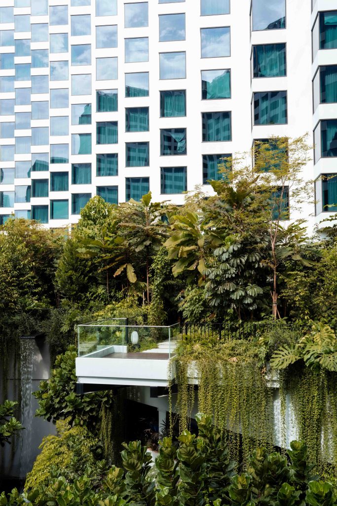 Grand Hyatt Singapore Reopens After Landmark Transformation — A Bold New Era of Wellness, Sustainability, and Cultural Hospitality - Alvinology
