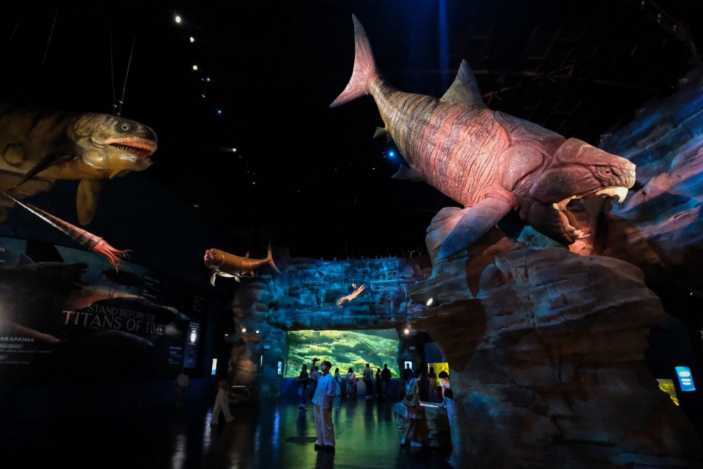 Make a Splash: Why Singapore Oceanarium Is This Year’s Must-Visit for Families and Adventure Seekers Make a Splash: Why Singapore Oceanarium Is This Year’s Must-Visit for Families and Adventure Seekers - Alvinology