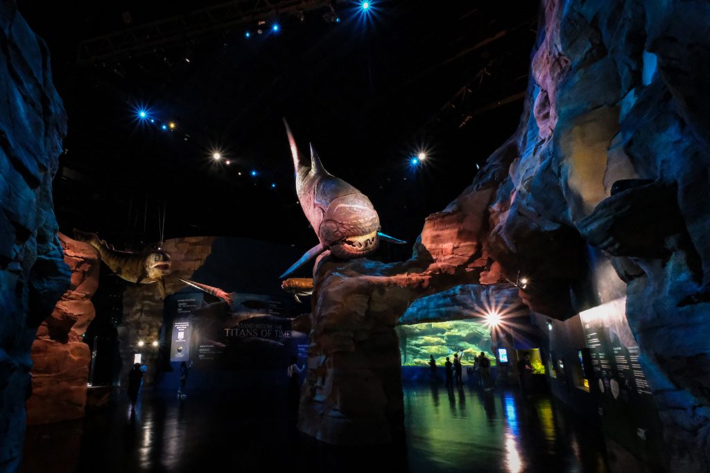 Make a Splash: Why Singapore Oceanarium Is This Year’s Must-Visit for Families and Adventure Seekers - Alvinology