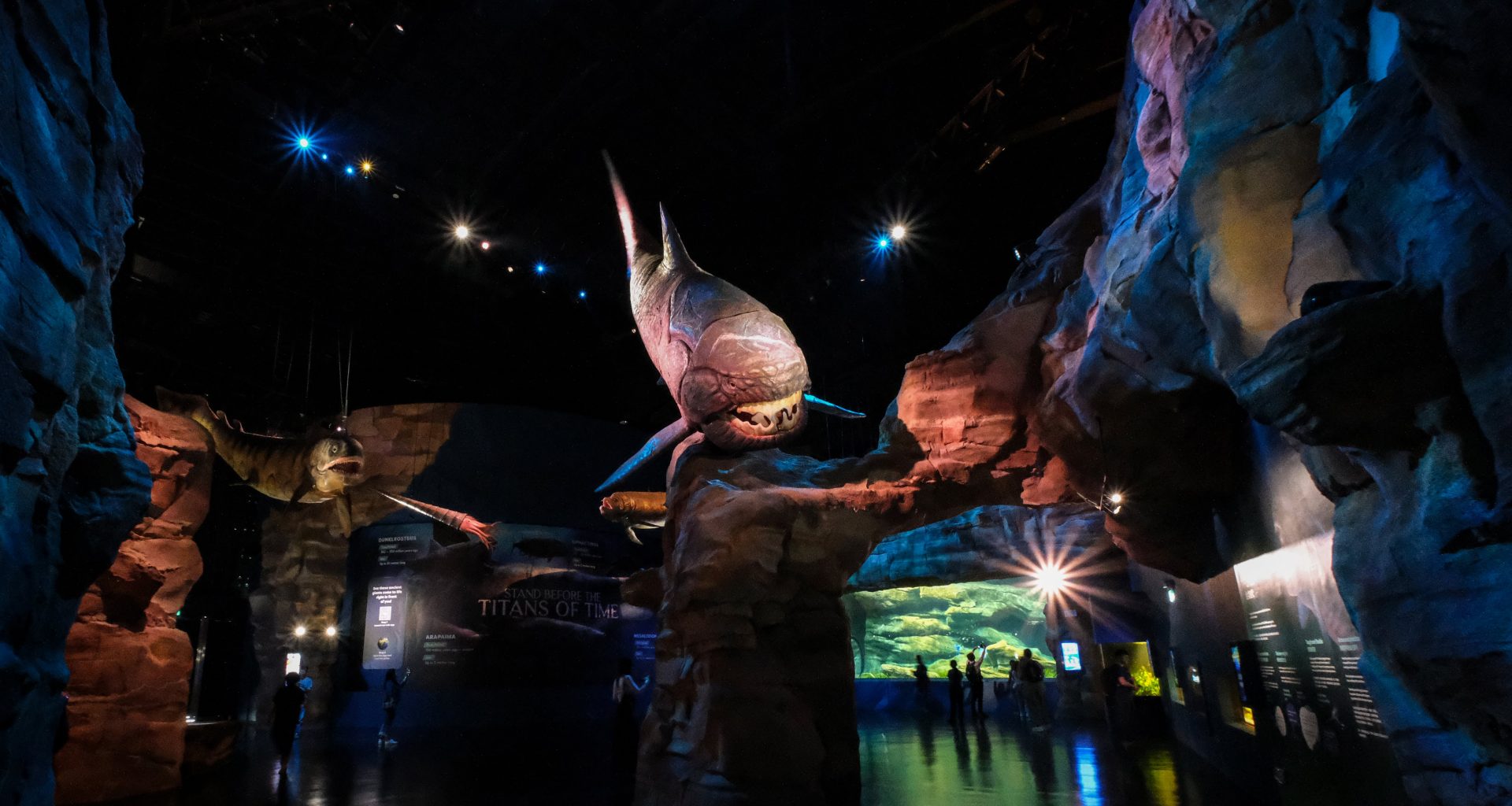 Make a Splash: Why Singapore Oceanarium Is This Year’s Must-Visit for Families and Adventure Seekers - Alvinology