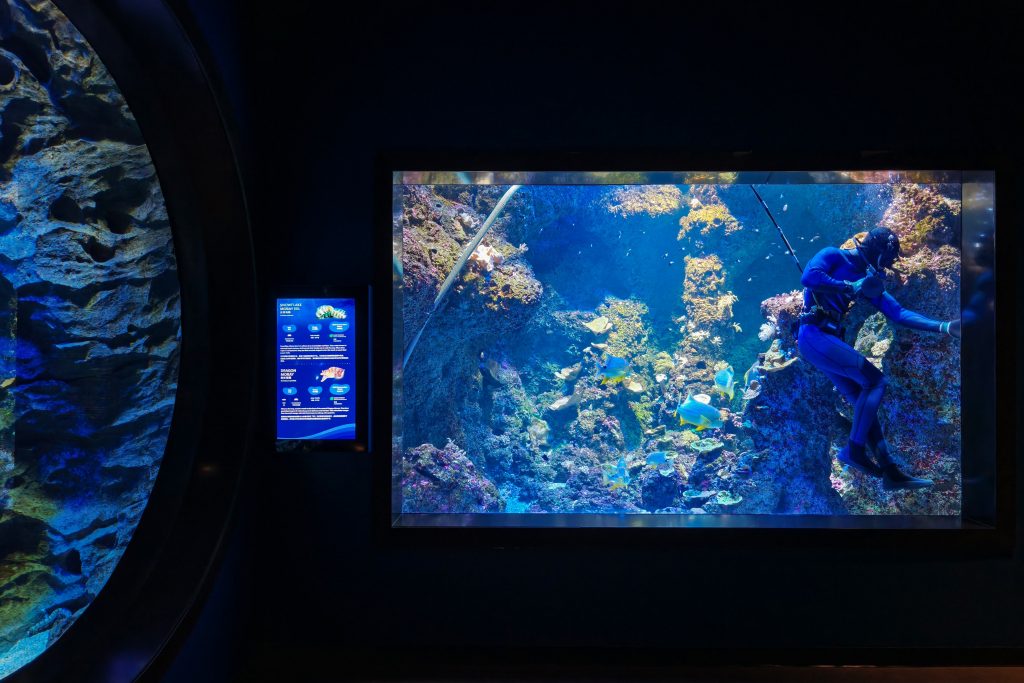 Make a Splash: Why Singapore Oceanarium Is This Year’s Must-Visit for Families and Adventure Seekers Make a Splash: Why Singapore Oceanarium Is This Year’s Must-Visit for Families and Adventure Seekers - Alvinology