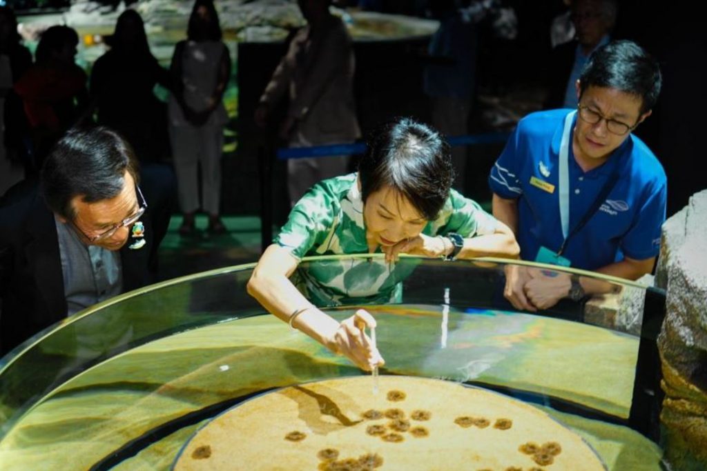 Singapore Oceanarium Makes a Splash with Grand Opening and SG60 Celebrations - Alvinology
