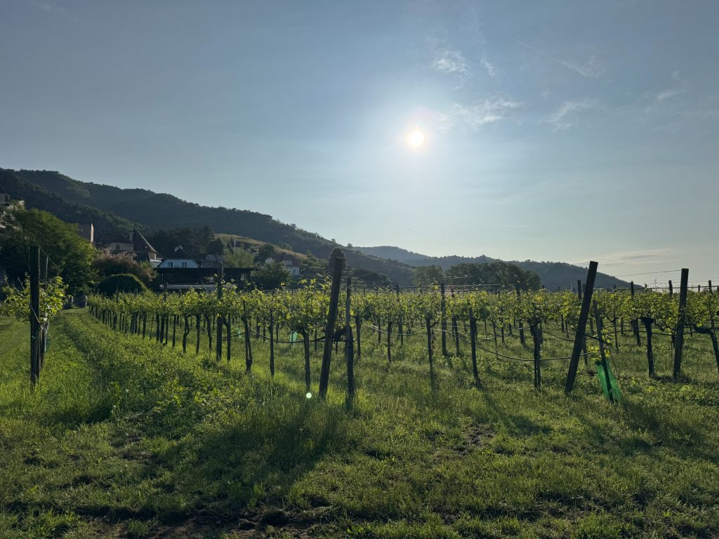 Austria Travelogue: How I Explored Vienna, Salzburg & Dürnstein with Scoot’s Direct Flight from Singapore - Alvinology