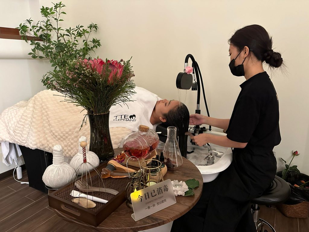 TTE Elephant Brings Singapore’s First Authentic Flower Head Spa to Marina Bay Link Mall - Alvinology