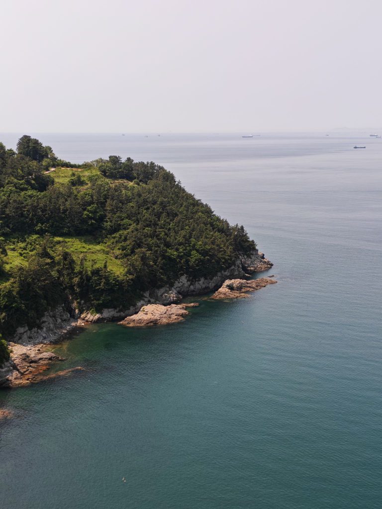 [Review] HONOR 400 Pro Brings Memories to Life with Next-Gen AI Imaging Photo to Video Feature - Alvinology
