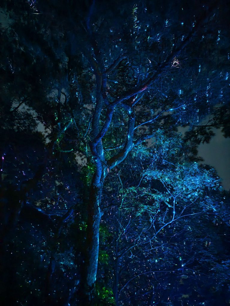 [Review] HONOR 400 Pro Brings Memories to Life with Next-Gen AI Imaging Photo to Video Feature - Alvinology