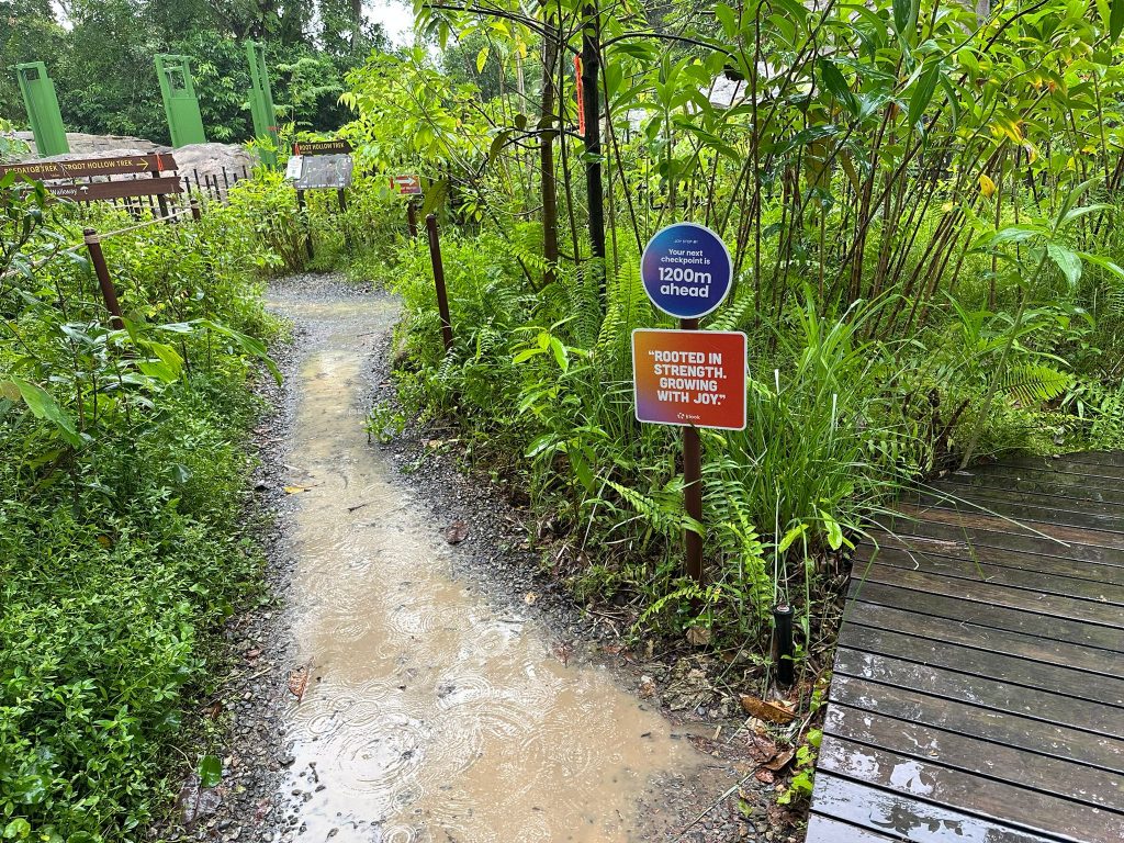 [Review] Unleashed Your Inner Explorer at Rainforest Wild Asia with Klook’s The Best You Path (Until 31 July 2025) - Alvinology