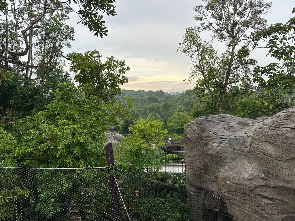 [Review] Unleashed Your Inner Explorer at Rainforest Wild Asia with Klook’s The Best You Path (Until 31 July 2025) - Alvinology
