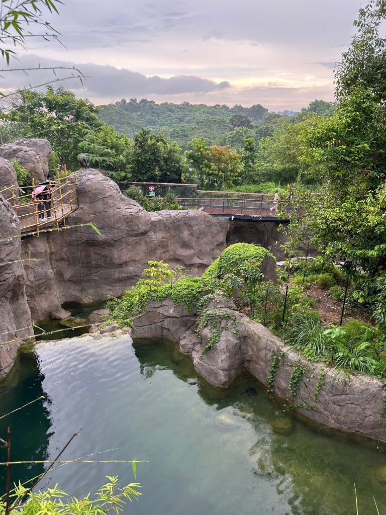 [Review] Unleashed Your Inner Explorer at Rainforest Wild Asia with Klook’s The Best You Path (Until 31 July 2025) - Alvinology