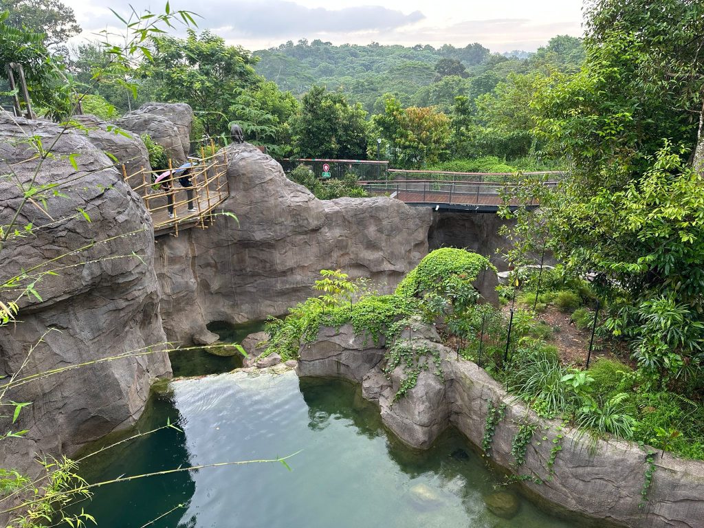 [Review] Unleashed Your Inner Explorer at Rainforest Wild Asia with Klook’s The Best You Path (Until 31 July 2025) - Alvinology