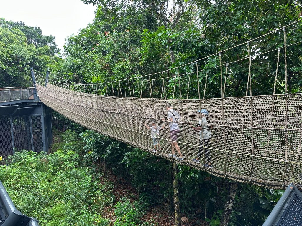 [Review] Unleashed Your Inner Explorer at Rainforest Wild Asia with Klook’s The Best You Path (Until 31 July 2025) - Alvinology