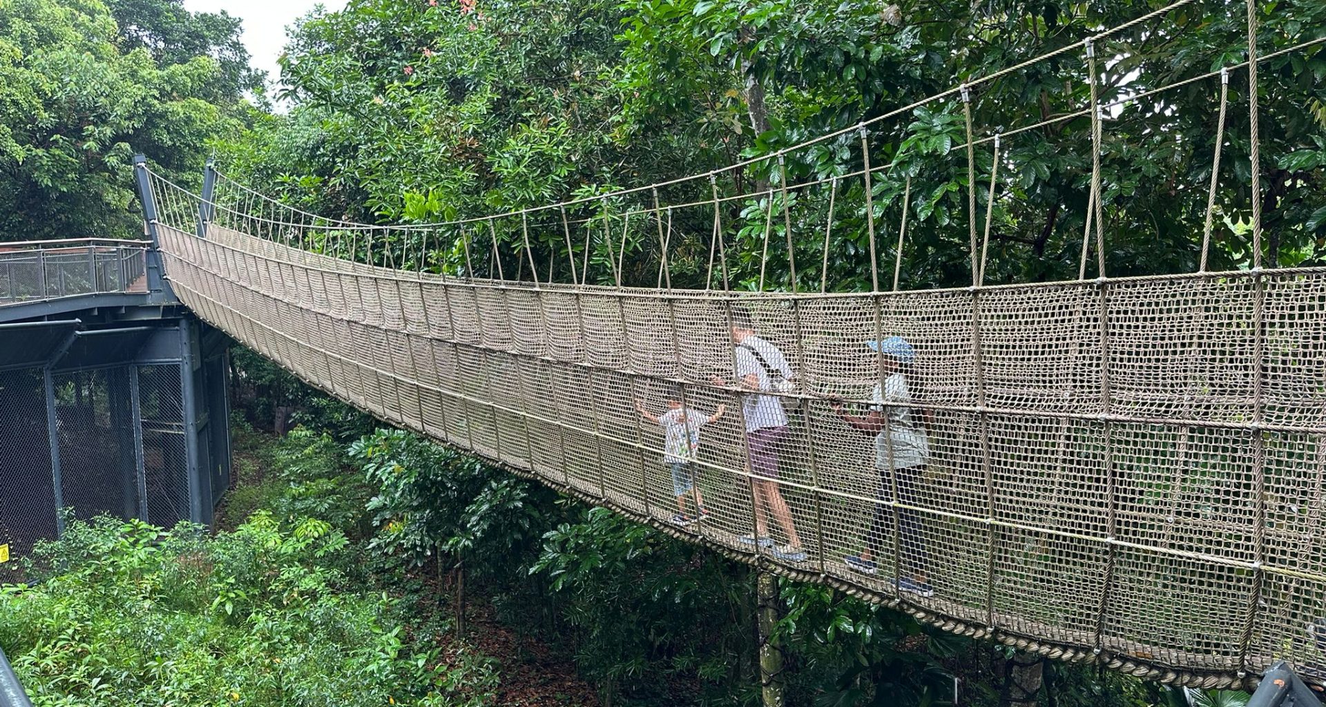 [Review] Unleashed Your Inner Explorer at Rainforest Wild Asia with Klook’s The Best You Path (Until 31 July 2025) - Alvinology