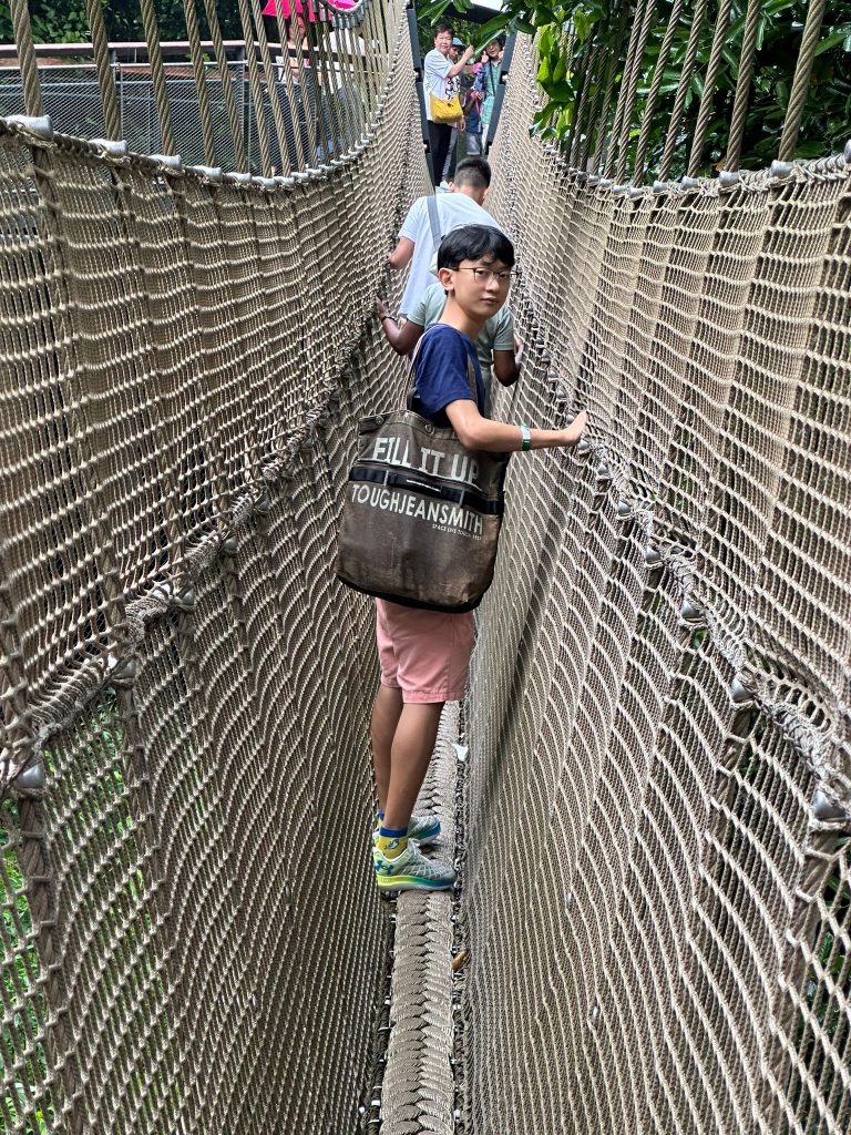 [Review] Unleashed Your Inner Explorer at Rainforest Wild Asia with Klook’s The Best You Path (Until 31 July 2025) - Alvinology