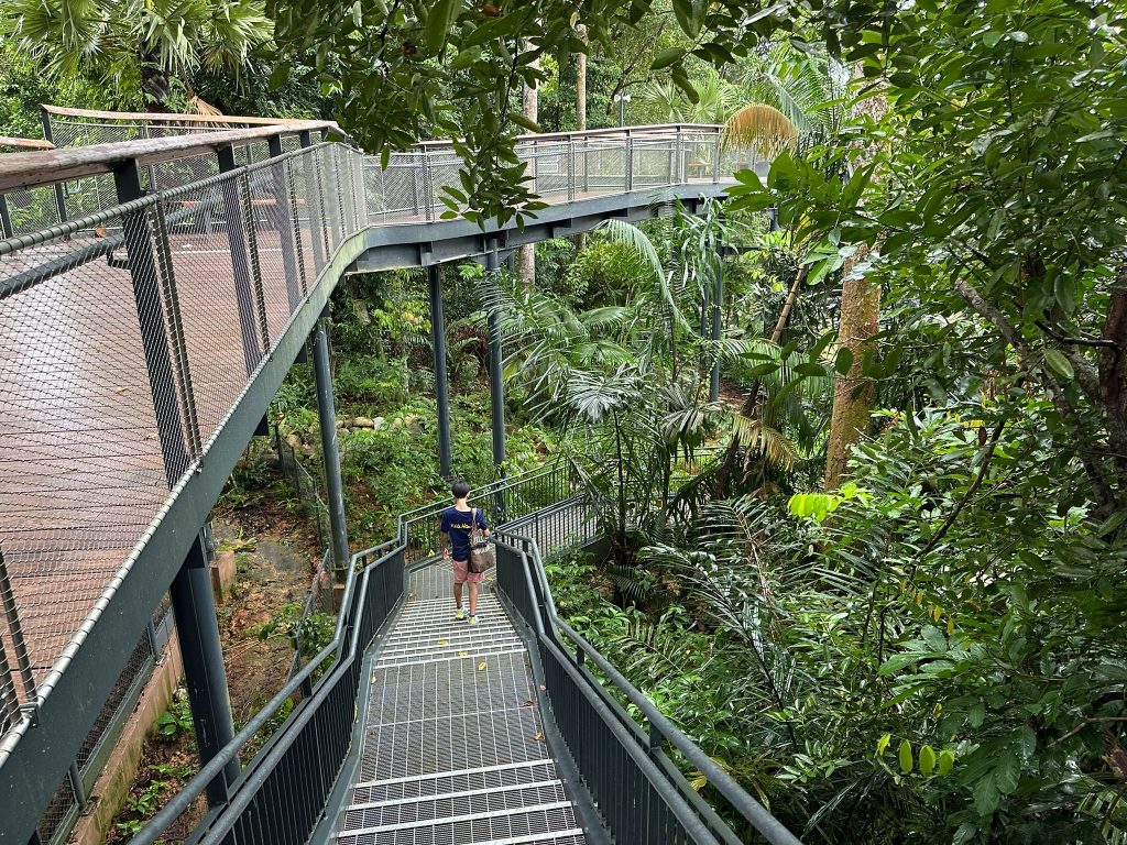 [Review] Unleashed Your Inner Explorer at Rainforest Wild Asia with Klook’s The Best You Path (Until 31 July 2025) - Alvinology