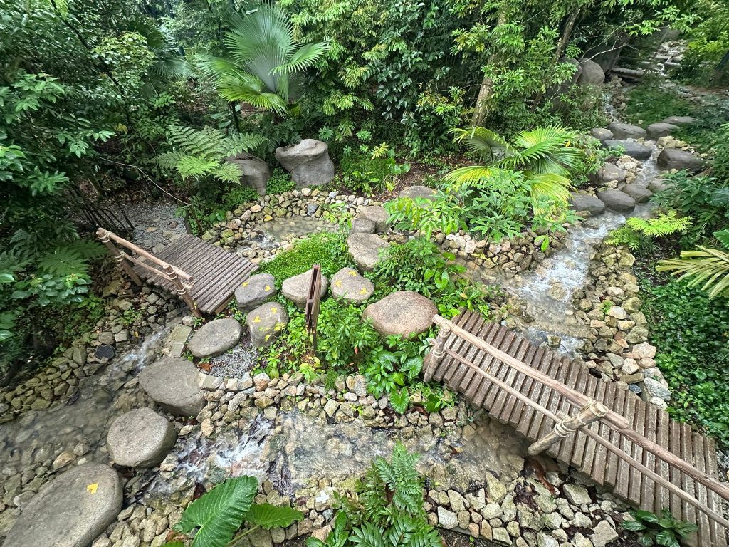 [Review] Unleashed Your Inner Explorer at Rainforest Wild Asia with Klook’s The Best You Path (Until 31 July 2025) - Alvinology