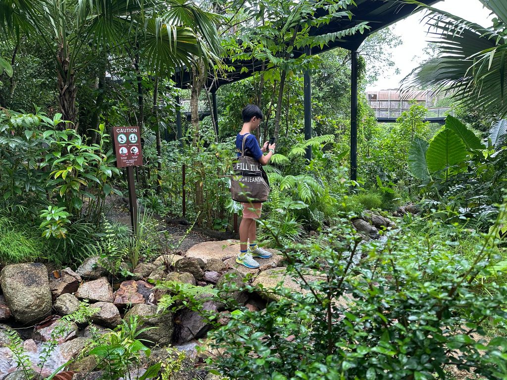 [Review] Unleashed Your Inner Explorer at Rainforest Wild Asia with Klook’s The Best You Path (Until 31 July 2025) - Alvinology