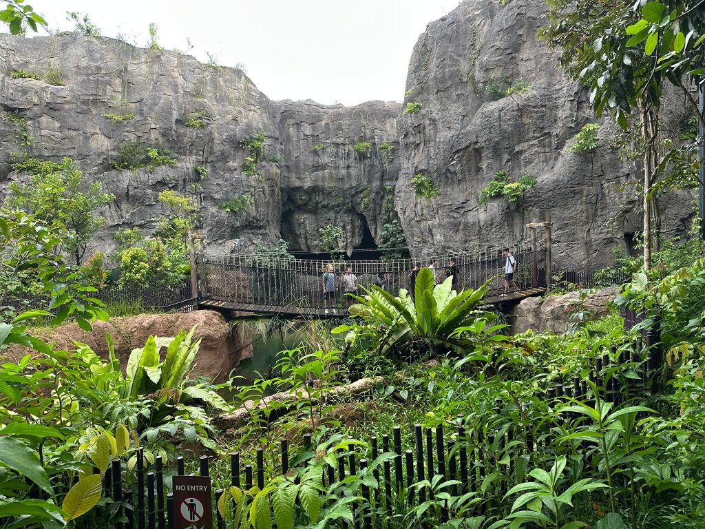 [Review] Unleashed Your Inner Explorer at Rainforest Wild Asia with Klook’s The Best You Path (Until 31 July 2025) - Alvinology