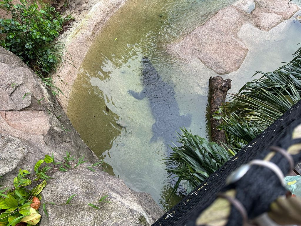 [Review] Unleashed Your Inner Explorer at Rainforest Wild Asia with Klook’s The Best You Path (Until 31 July 2025) - Alvinology