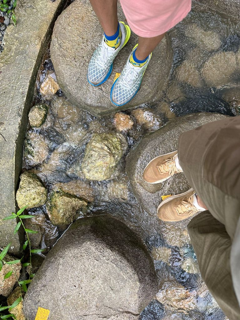 [Review] Unleashed Your Inner Explorer at Rainforest Wild Asia with Klook’s The Best You Path (Until 31 July 2025) - Alvinology