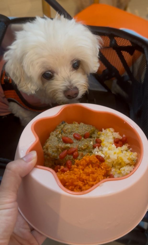 Hidden Gem in Lengkok Bahru for Pet Lovers! Spacious Café, SG60 Treats at Bailey & Patch Café located in Enabling Village - Alvinology